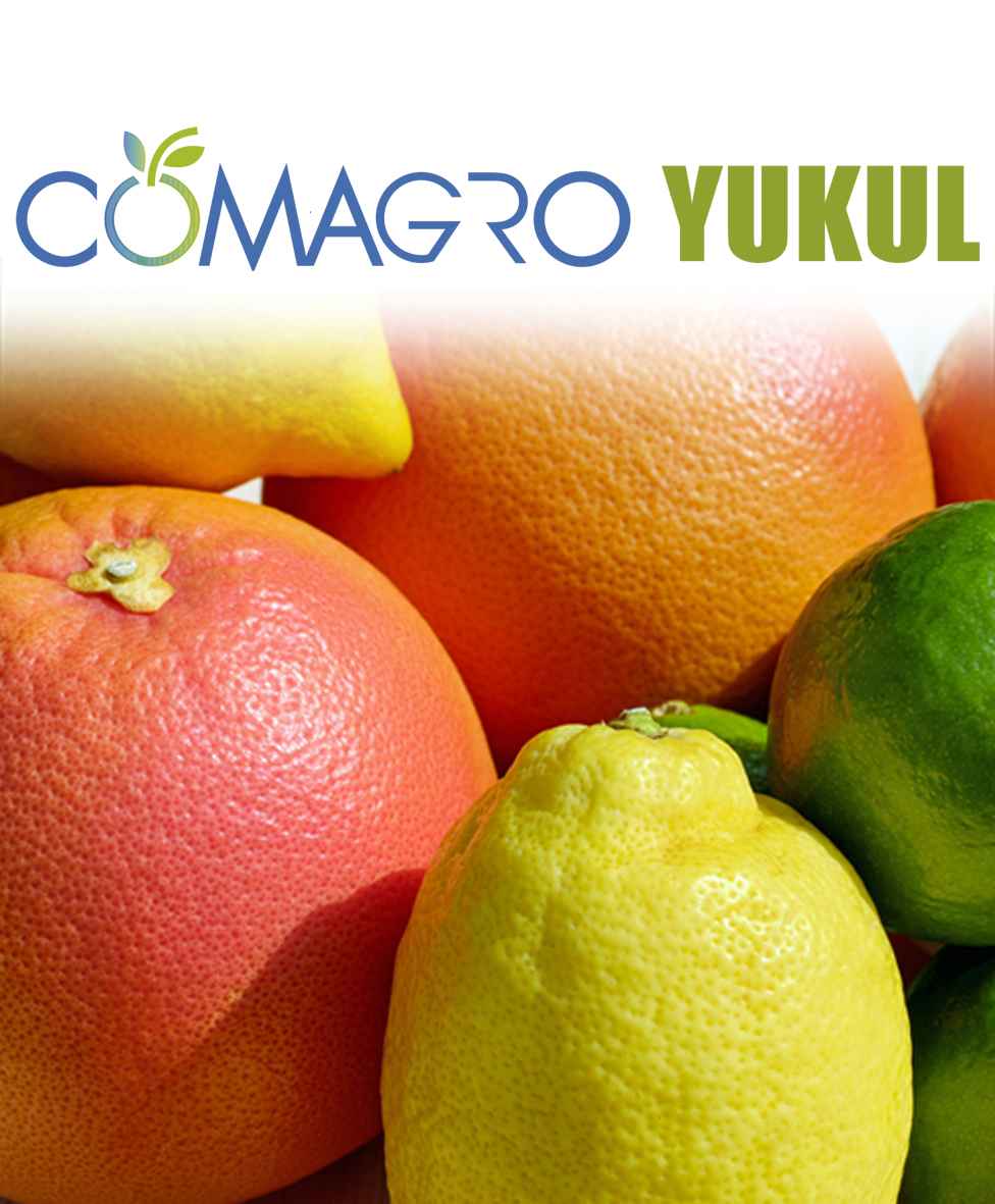 COMAGRO-YUKUL COD: BM-005
